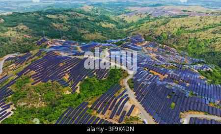 Luftaufnahme des Aguilar-Solarkraftwerks mit weitläufigen Reihen von Solarmodulen, die über sanfte grüne Hügel in Aguilar, Ilocos-Region, installiert sind Stockfoto