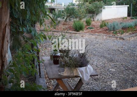 Eine bezaubernde rustikale Auslage auf einem Holztisch in einem kretischen Garten. Mit verschiedenen frischen und getrockneten Kräutern in einem Weidenkorb. Stockfoto