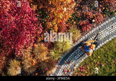 Ein Gärtner räumt im Herbst Blätter in einem Garten. Die Szene zeigt lebendige Blätter in Rot-, Orange- und Gelbtönen. Der Gärtner arbeitet Stockfoto