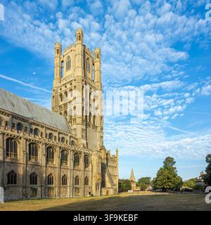 Der Westturm und das Nordschiff der Kathedrale von Ely, gesehen von Cross Green, Ely, Cambridgeshire, England, UK Stockfoto