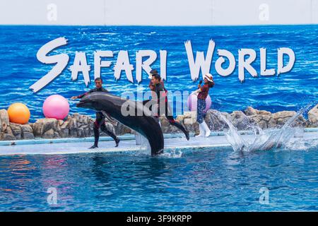 Mehrere Trainer und Moderatoren treten mit Delfinen in einem Schwimmbecken vor einer großen Meeres-Themen-Bühnenkulisse auf. Stockfoto