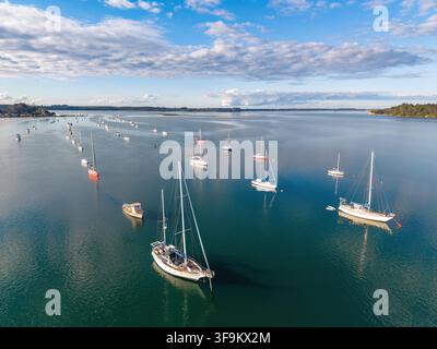 Luftbild von Reihen von Yachten, die in den ruhigen Gewässern eines Hafenkanals vor Anker liegen. Omokoroa, Bay of Plenty, Neuseeland Stockfoto