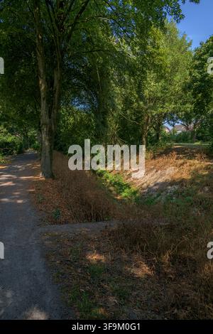 Schotterpfad entlang eines grünen Parkgrabens unter üppigen Bäumen in Coesfeld, Deutschland Stockfoto