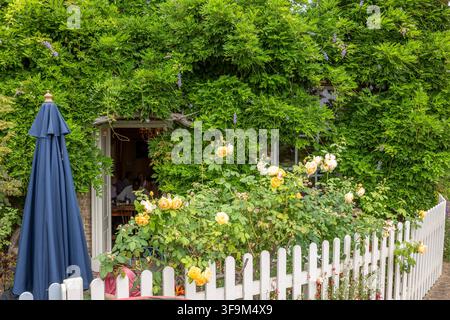 Peacocks English Teehaus und B&B in Ely Stockfoto