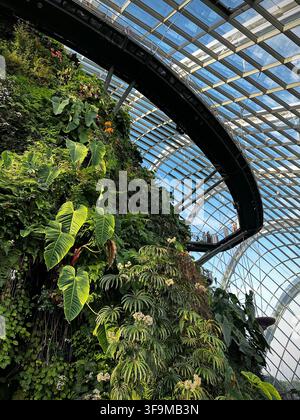 Singapur, Singapur: 13. Juli 2023 - Einzigartige Winkelansicht von Gehwegen, die über den Wolkenwald führen Stockfoto