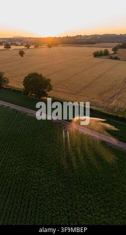 Bewässerungssprinkler bewässert Gemüsekulturen während eines heißen trockenen Sommersuntergangs in Shropshire, England, UK, Luftbild aus einer Drohne Stockfoto