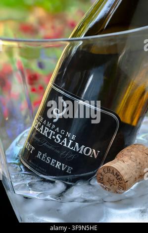 Billecart-Salmon Brut Champagne-Flasche und Korken auf Eis, gekühlt in einem luxuriösen Kristall-Weinglas-Kühler in einer alfresco floralen Sommergartensituation Stockfoto