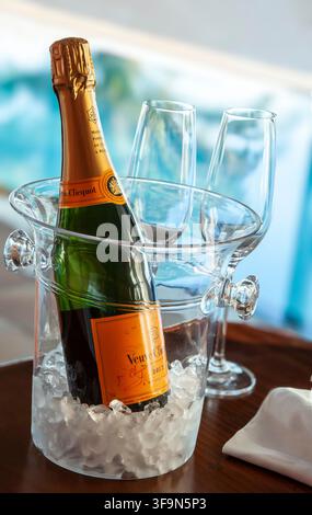 CHAMPAGNER URLAUB LIFESTYLE Veuve Clicquot feine vintage Champagner-Flasche mit Gläsern, auf Eis im Weinkühler, Luxus sonnendurchfluteten Unendlichen Pool dahinter Stockfoto