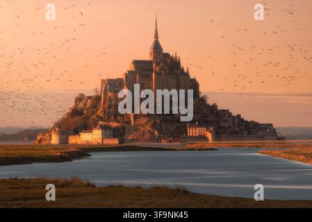 Ansicht der historischen Abtei Mont Saint-Michel auf einer Gezeiteninsel, umgeben von Watts unter einem warmen goldenen Abendhimmel mit einer Schar fliegender Vögel Stockfoto