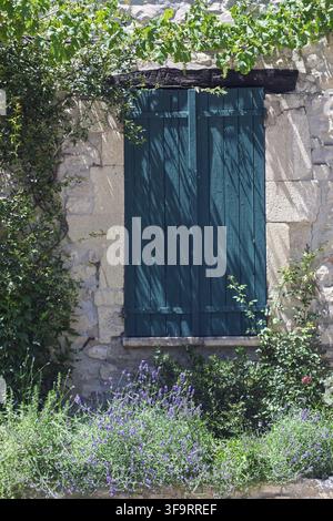 Steinerne Mauer mit grünen Fensterläden, umgeben von Kletterpflanzen und Lavendel im natürlichen Schatten, Vaison-la-Romaine, Provence, Frankreich Stockfoto