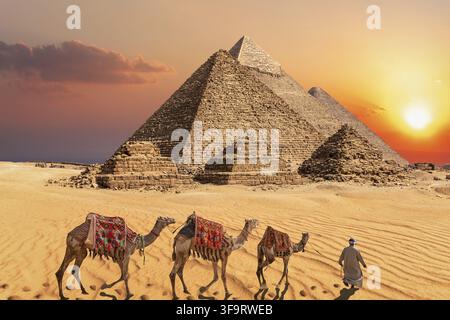Beduine mit Kamelen in der Sonnenuntergangs-Wüste vor den berühmten Pyramiden von Gizeh Stockfoto