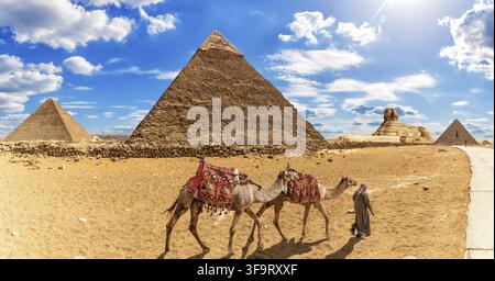 Beduine mit Kamelen vor den Pyramiden und der Sphinx in Gizeh Stockfoto