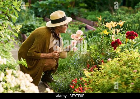 Seniorin hält eine Kaffeetasse und riecht Rosen im Garten Stockfoto
