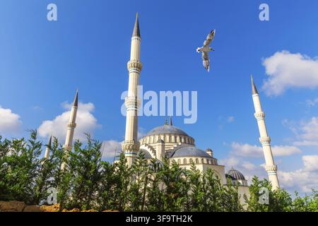 Möwe fliegt durch die wunderschöne neue Moschee von Istanbul, die Camlica Moschee, Türkei Stockfoto
