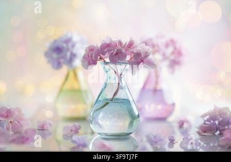 Sträuße schöner Hortensien in bunten Glasvasen über Bokeh-Hintergrund. Wohnraumdekoration Stockfoto