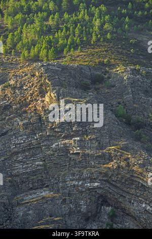 Nahaufnahme einer schroffen Felswand mit dichtem Kiefernwald, der den Kamm darüber säumt Stockfoto