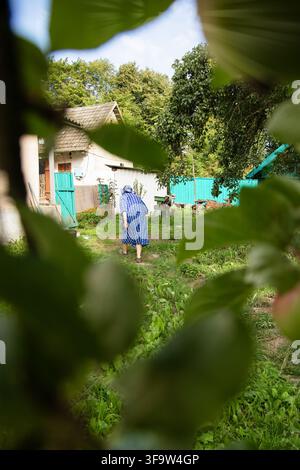 Eine ältere gebeugte Frau in einem ländlichen Garten, die sich auf eine Hacke stützt und auf grünem Gras geht, Rückansicht, Konzept für hartes Leben, Gesundheitsprobleme, Altern und Dorfwo Stockfoto