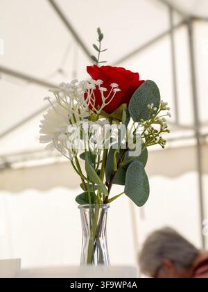 Eine rote Rose und weiße Blumen, die in einer Glasvase drinnen unter einer Zeltstruktur arrangiert sind. Stockfoto