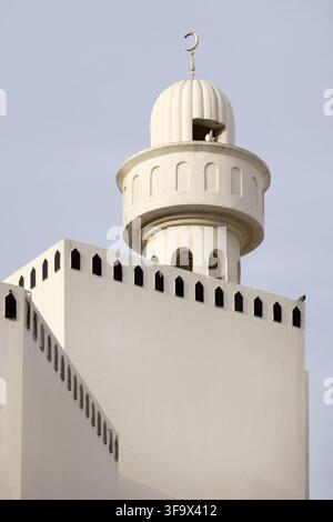 Niedliche orientalische Katze sitzt im Schlafzimmer zu Hause, Haustierporträt. Stockfoto