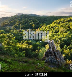 Burg Cerveny Kamen in der Slowakei bei Sonnenuntergang mit grünem Wald Stockfoto