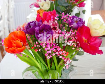Strauß mit roten und violetten Tulpen Stockfoto
