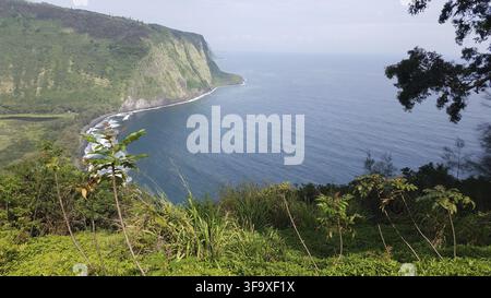 Pazifischer Ozean und üppige Vegetation, Waipi'o Valley Lookout, Big Island von Hawaii. Stockfoto
