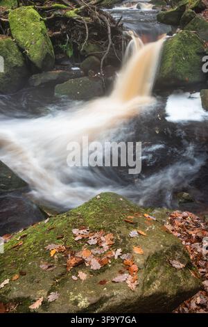 Atemberaubende, lebendige Herbstlandschaft von Padley Gorge im Peak District, England Stockfoto