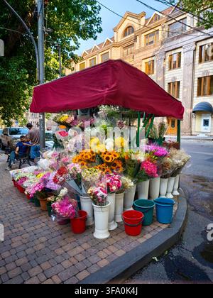 Farbenprächtiger Blumenstand unter rotem Baldachin auf der Stadtstraße. Sträuße in weißen Eimern und roten, blauen Behältern. Gemischte Blumen umfassen Sonnenblumen, Rosen, ein Stockfoto