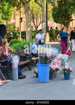 Blumenhändler verkauft farbenfrohe Blumen in der Nähe von Parkbänken. Menschen entspannen sich unter belaubten Bäumen. Ein blauer Eimer hält lebhafte Topfblumen. Eine Frau geht an einem Stal vorbei Stockfoto