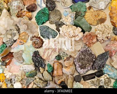 Sammlung farbenfroher Mineralproben und Fossilien zur Ansicht. Ammonitenfossilien sind zwischen verschiedenen Steinen sichtbar. Hellgrüner Malachit und durchscheinend Stockfoto