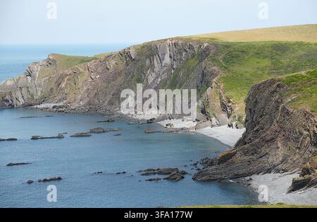 Dramatische Küstenlandschaft am Hartland Quay, North Devon, England, UK. Schroffte Klippen mit gefalteten Felsformationen und gezackten Kliffen, die sich ins Meer erstrecken Stockfoto