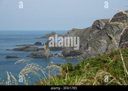 Dramatische Küstenlandschaft am Hartland Quay, North Devon, England, UK. Schroffte Klippen mit gefalteten Felsformationen und gezackten Kliffen, die sich ins Meer erstrecken Stockfoto