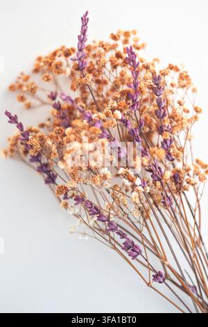 Rustikales Bouquet mit getrocknetem Lavendel und Gypsophila-Blüten auf weißem Hintergrund Stockfoto