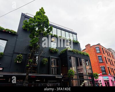 Dublin, Irland - 22. Mai 2026: Zeitgenössisches Pub-Außenbereich mit Grünpflanzen, Glasvorbau und roten Backsteingebäuden auf einer Dubliner Straße. Stockfoto