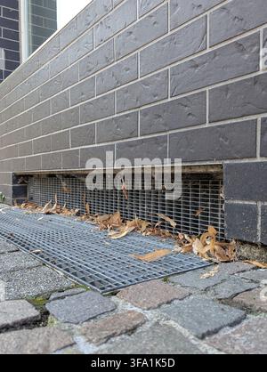 Nahaufnahme eines Metallabflussgitters, das mit trockenen abgefallenen Blättern gefüllt ist, eingebettet in einen Betonbordstein neben einer grauen Ziegelmauer an einer städtischen Straße. Saisonaler Aufräumdienst Stockfoto