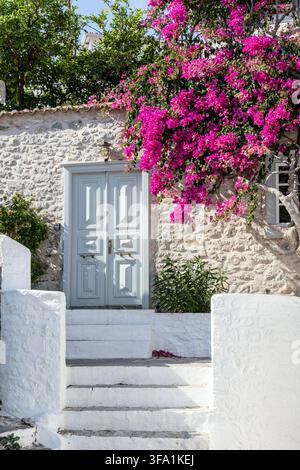 Griechisches Haus mit blühenden Bougainvillea, Straße in Hydra-Stadt, Hydra-Insel, Sarantischen Inseln, Griechenland Stockfoto
