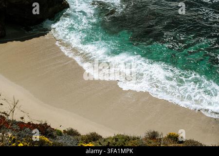 Eine Luftaufnahme von türkisfarbenen Wellen, die an einen abgelegenen Sandstrand schlagen, eingerahmt von Küstensträuchern oben Stockfoto
