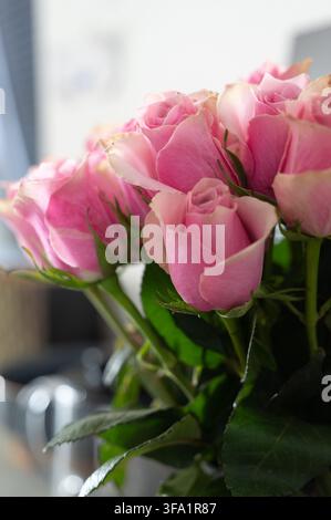 Nahaufnahme eines Blumenstraußes Stockfoto