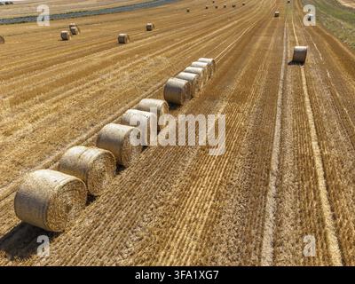 Luftbild eines abgeernteten Feldes mit Reihen von runden Heuballen auf goldenem Stoppeln in der Woiwodschaft Kleinpolen, Polen. Stockfoto