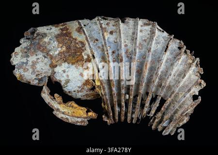 Mystisches Relikt aus der Tiefe: oxidierte, gerippte Vintage-Metallpfeife, die zu einem abstrakten Tiefseewesen umgewandelt wurde, vor einem scharfen schwarzen Hintergrund. Stockfoto