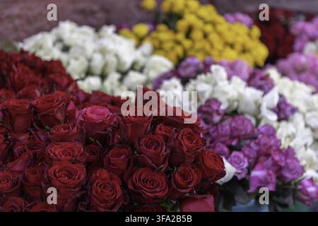 Ansicht einer farbenfrohen Sammlung frischer roter, weißer, gelber und rosa Rosen, die in einer Marktauslage in Nairobi, Nairobi County, Kenia, arrangiert sind. Stockfoto