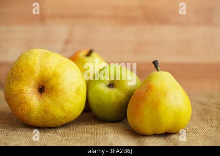 Eine Gruppe frischer reifer Bio-Birnen, die auf einer rustikalen Sackleinenoberfläche angeordnet sind, mit einem warmen unscharfen Holz-Hintergrund und Kopierraum. Stockfoto