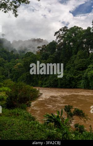 Ein gewundener brauner Fluss fließt durch dichten tropischen Regenwald, während Nebel zwischen den bewaldeten Hügeln unter einem dramatischen wolkenverhangenen Himmel schwebt. Stockfoto