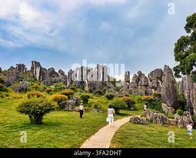 Blick auf das Stone Forest Scenic Area mit hoch aufragenden Kalksteinformationen, üppigem grünem Gras und Menschen, die einen Steinpfad in Kunming, Yunnan, China entlanggehen Stockfoto