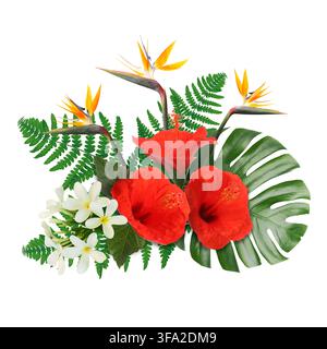 Tropische Blumenkomposition mit roten Hibiskus-, Strelitzien- und Plumeria-Blüten auf weißem Hintergrund Stockfoto