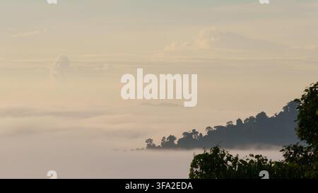 Ein bewaldeter tropischer Bergrücken taucht durch dichte Schichten von Nebel und tiefer Wolke im weichen warmen Morgenlicht auf. Stockfoto