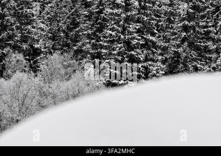 Blick auf die schneebedeckten Pisten von Husklappen mit dichten Kiefernwäldern in Idre, Dalarna län, Schweden. Stockfoto