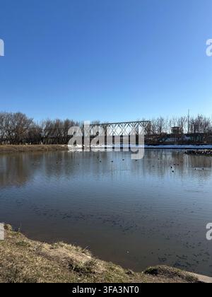 Frühling im Park mit Fluss und Weg, schmelzender Schnee und saisonales Naturkonzept. Hochwertiges Foto Stockfoto