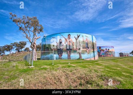 Übersicht der beiden Tanks. Wassertank-Kunst von Brightsiders, Zookeeper und DRAPL in Cowra, NSW, Australien. Stockfoto