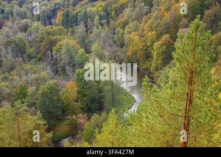 Eine erhöhte Ansicht des Vilnele-Flusses und des umliegenden Waldes im Regionalpark Pavilniai, Vilnius, mit lebhaftem Herbstlaub und üppigen grünen Bäumen cre Stockfoto